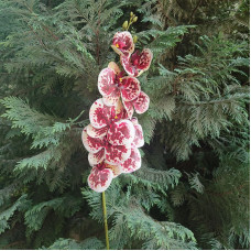 Орхидея силиконовая