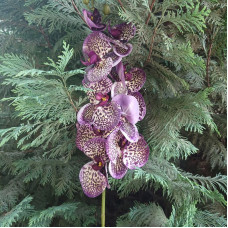 Орхидея силиконовая
